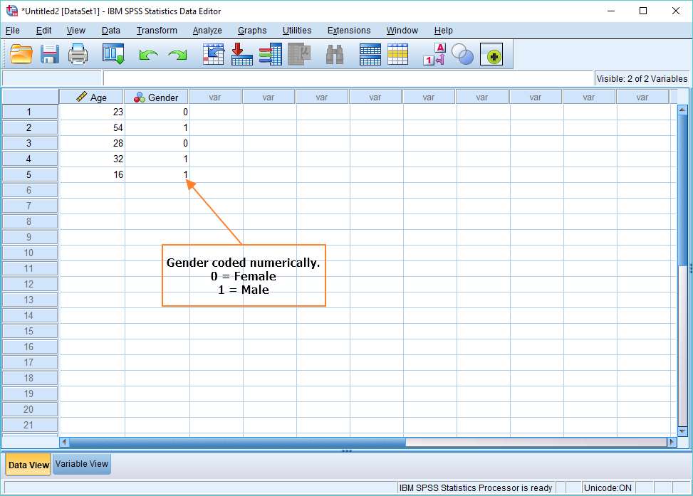 Display Value Labels In Spss Easy Spss Tutorial