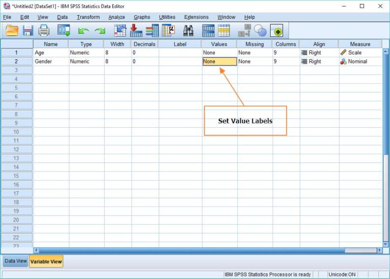 Display Value Labels in SPSS - Easy SPSS Tutorial