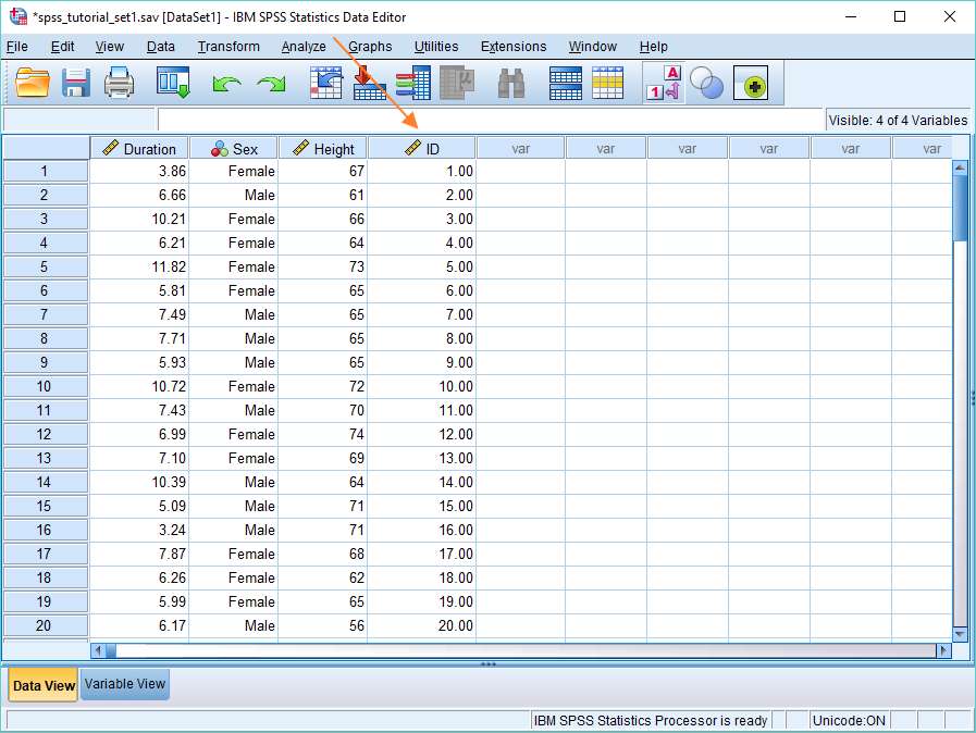 Numeric ID in SPSS