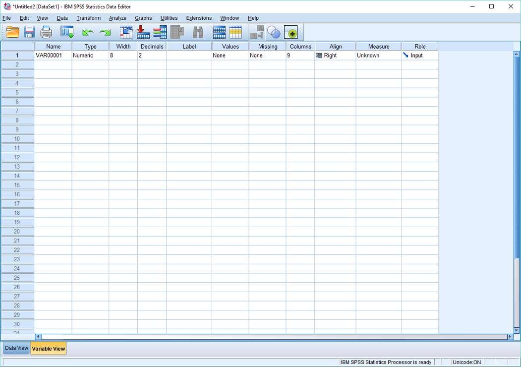 SPSS Variable View