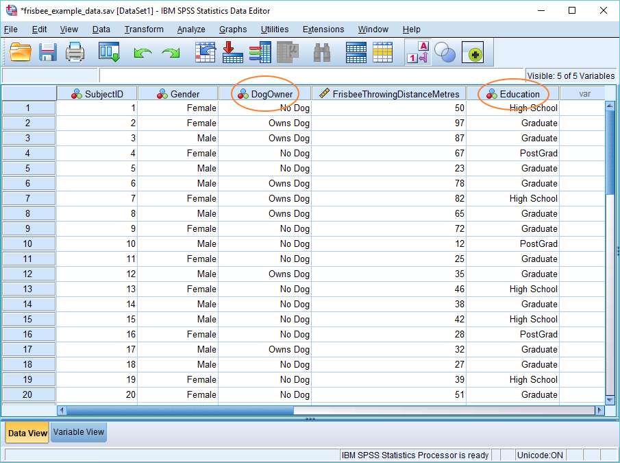 spss code descriptives