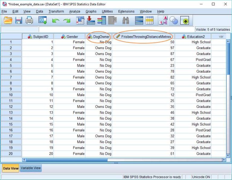 Independent Samples T Test In SPSS Quick SPSS Tutorial