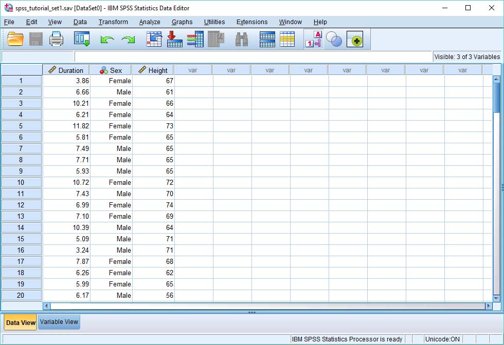 SPSS data input screen