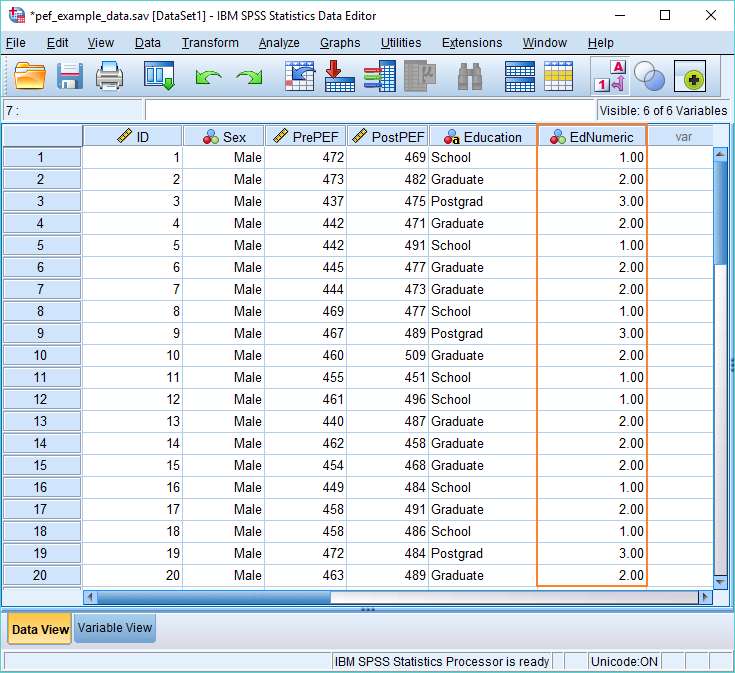 SPSS data view with recoded variable