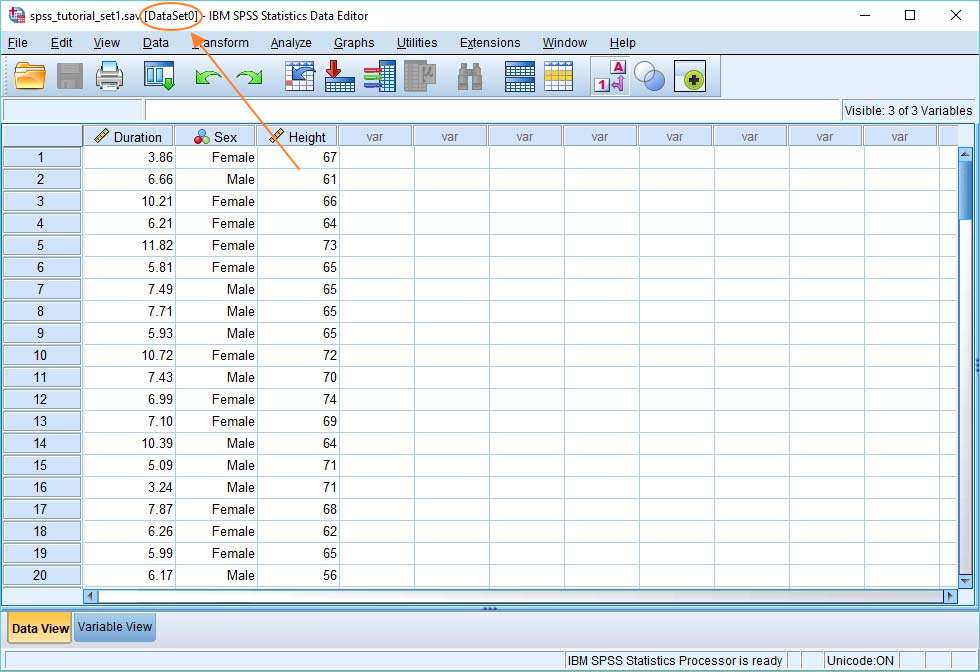 ibm spss 21