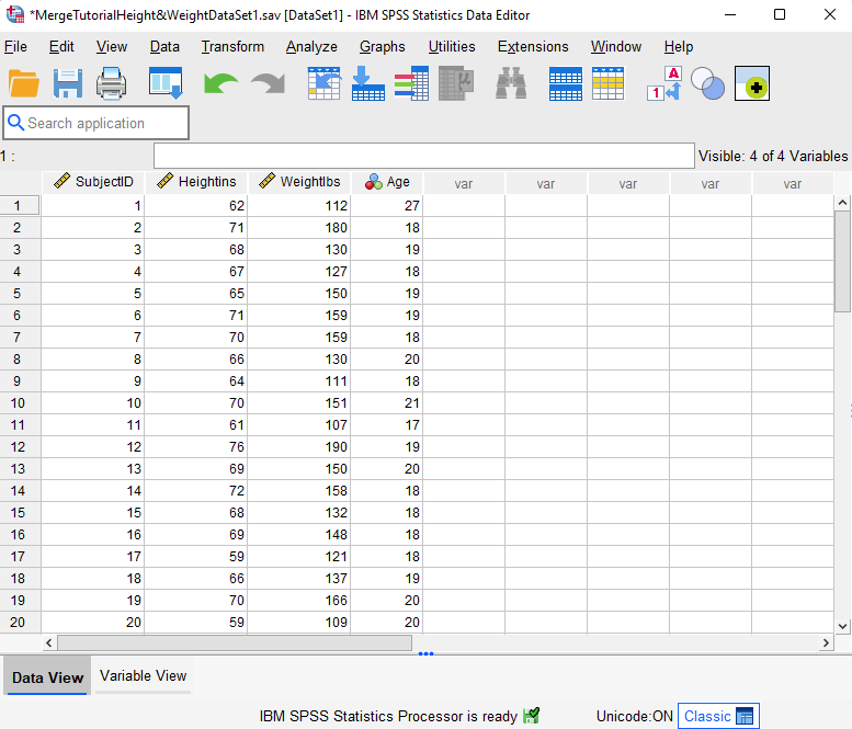 SPSS Merge Data Add Cases - First Data Set