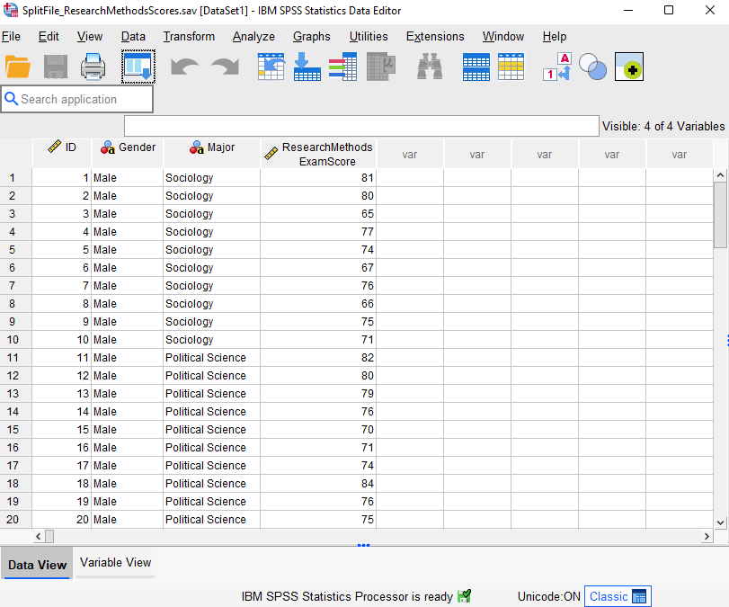 Data Set for SPSS Split Files Tutorial