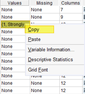 Copy and paste value labels for Likert scale items in SPSS