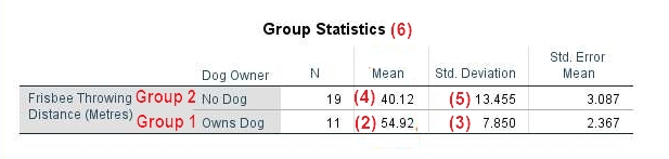 Group Statistics table in SPSS Output Viewer