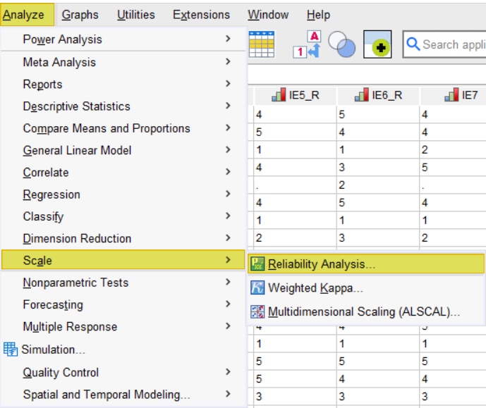 Select analyze, scale, reliability analysis in SPSS 