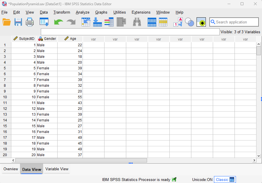Data set in SPSS