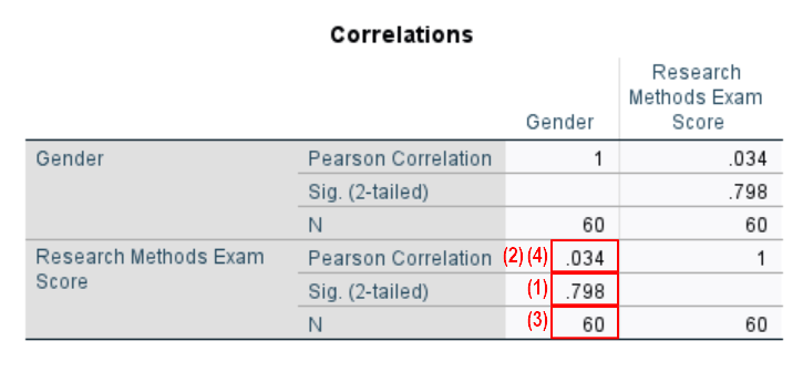Correlations table for point-biserial correlation in SPSS output