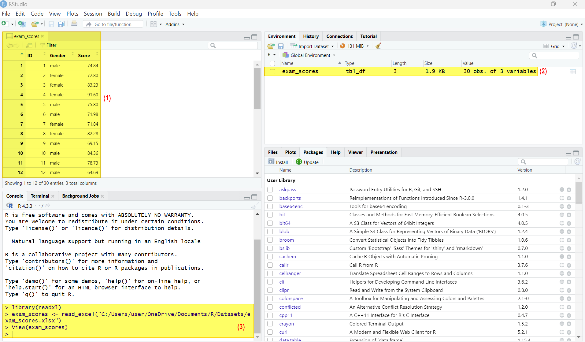 Excel data set imported into RStudio