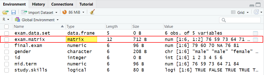 Matrix in RStudio Environment tab 